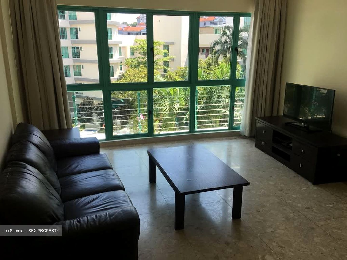 Southaven II (D21), Condominium #546022321